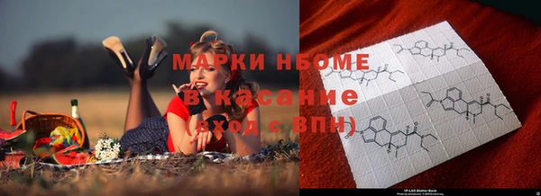 твердый Майский
