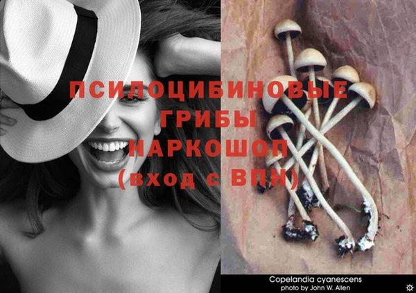 марки nbome Лиски