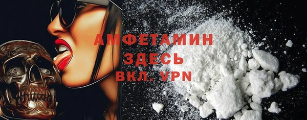 мдпв Магас
