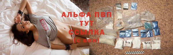 гашик Лихославль
