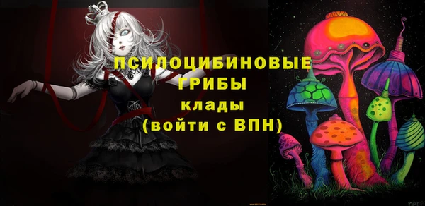 мдпв Магас