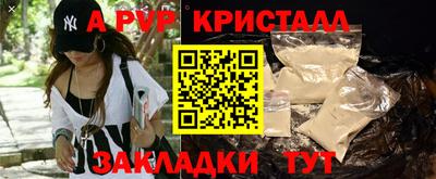 меф Кингисепп