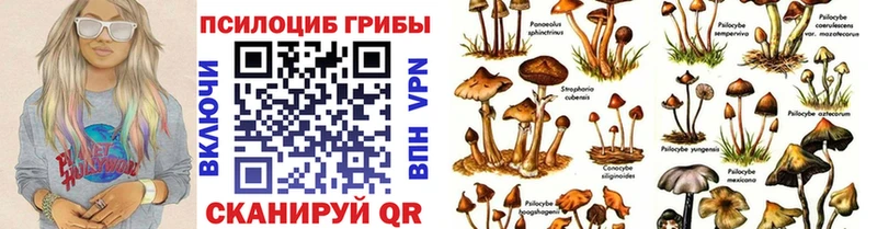 дарнет шоп Подольск Галлюциногенные грибы ЛСД
