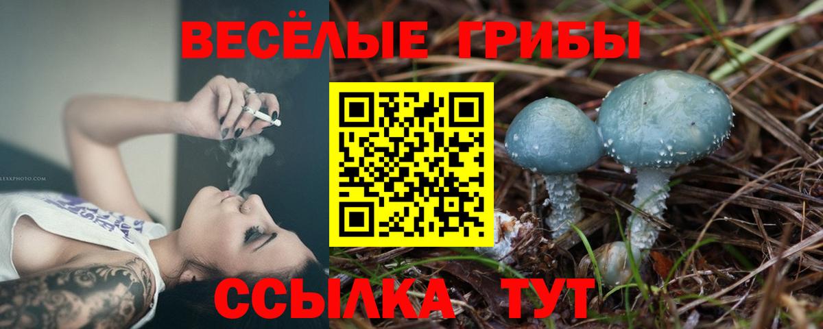 Псилоцибиновые грибы мицелий  Вход с VPN  Подольск  Псилоцибиновые грибы Psilocybine cubensis 